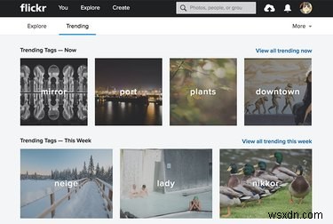 Why Flickr Remains the Go‑To Photo Platform After Yahoo’s 2016 Hack