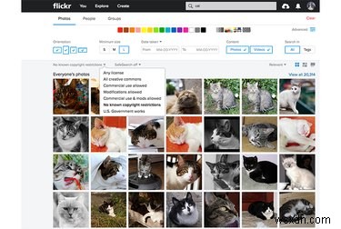Why Flickr Remains the Go‑To Photo Platform After Yahoo’s 2016 Hack