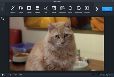 Why Flickr Remains the Go‑To Photo Platform After Yahoo’s 2016 Hack