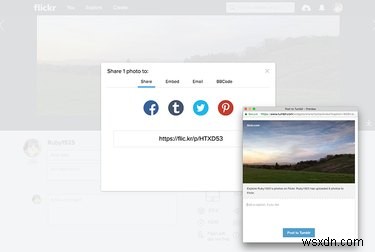 Why Flickr Remains the Go‑To Photo Platform After Yahoo’s 2016 Hack