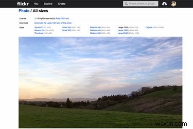 Why Flickr Remains the Go‑To Photo Platform After Yahoo’s 2016 Hack