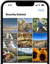 iOS 17.5 Photo Bug: How to Permanently Delete Resurfaced Images on iPhone