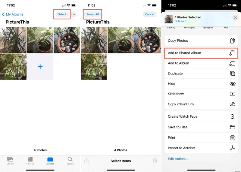 How to Share an Album on iPhone: A Step‑by‑Step Guide