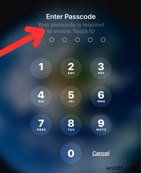 Complete Guide to Factory Resetting Your iPad Without an Apple ID Password (2026)