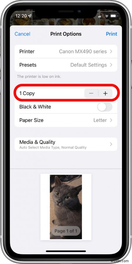 Print Your iCloud, iPhone, and Mac Photos: Step‑by‑Step Guide