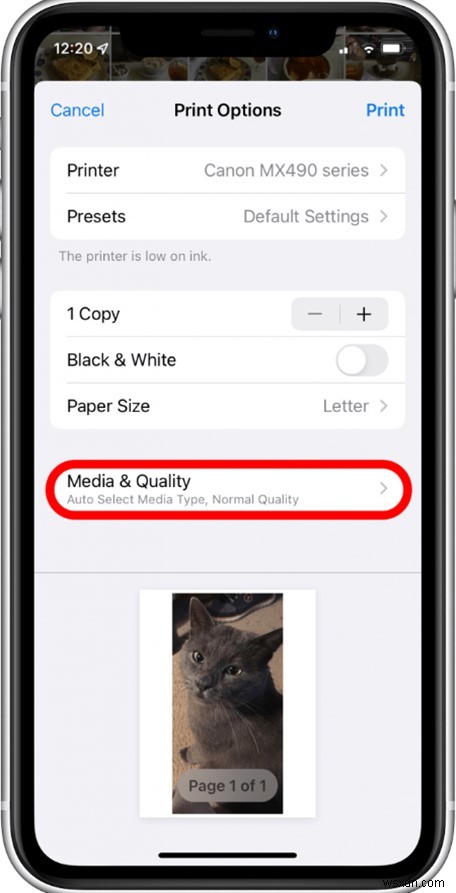 Print Your iCloud, iPhone, and Mac Photos: Step‑by‑Step Guide