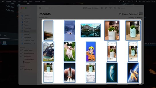 Hide & Unhide Photos on iPhone: Expert Guide to Private Photo Management