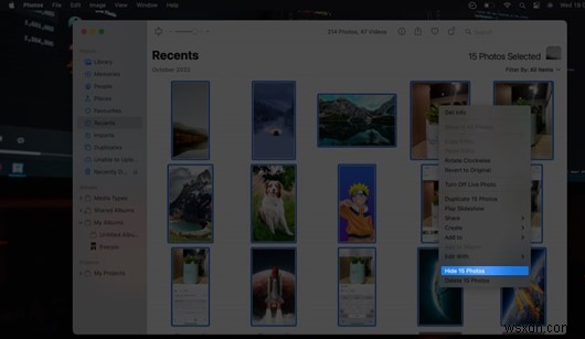 Hide & Unhide Photos on iPhone: Expert Guide to Private Photo Management
