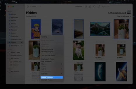 Hide & Unhide Photos on iPhone: Expert Guide to Private Photo Management