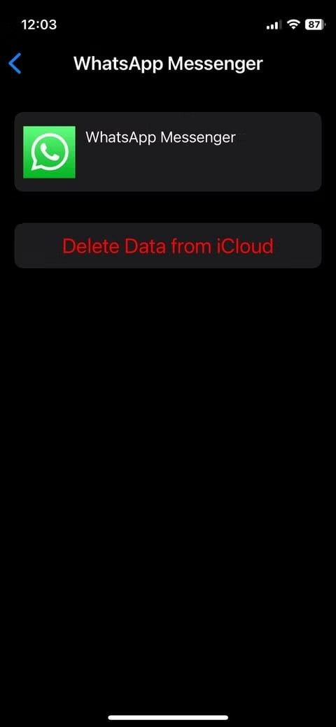Fix WhatsApp Not Backing Up to iCloud: 7 Reliable Solutions