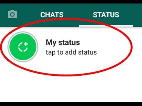 Resolve WhatsApp Status Loading Issues – Quick Fix Guide