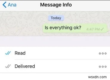 2026 Guide: What Does the One Grey Tick on WhatsApp Signify?