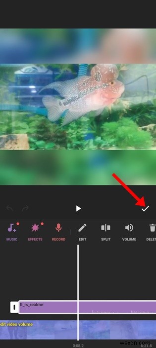 Add Music to Your WhatsApp Status Photo on iPhone – Easy Step‑by‑Step Guide