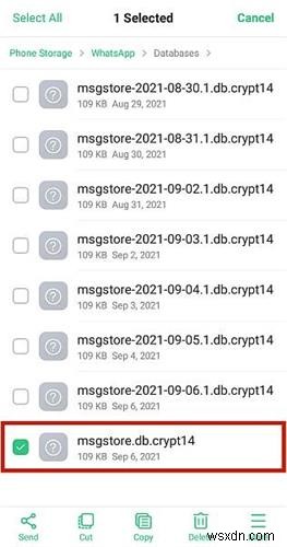 Fix WhatsApp’s Local Backup Detection Issue – Step‑by‑Step Guide