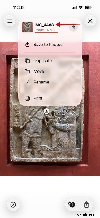 Convert HEIC to JPEG on iPhone—No Apps Required, Just Built‑in Features