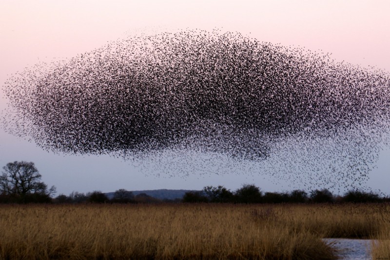 Scale Your System Efficiently: Process Splitting & Redis for High-Performance Messaging