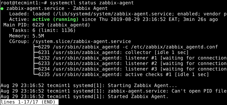Step-by-Step Guide to Installing Zabbix on Debian 11 and 10