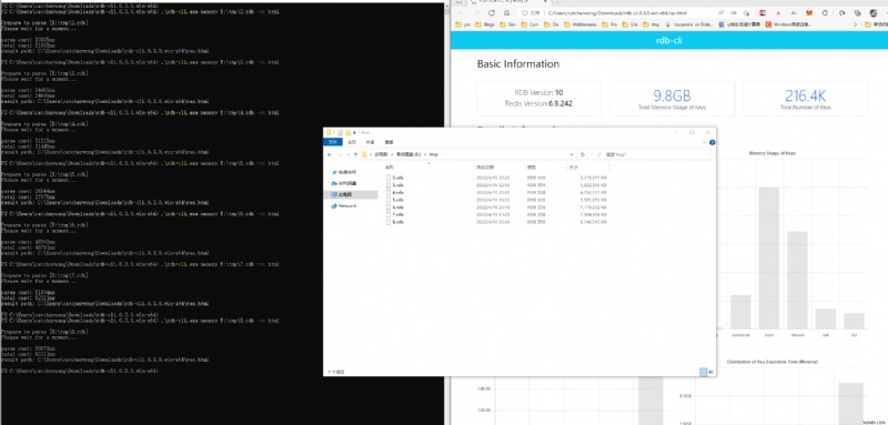 Comprehensive Tool for Analyzing Redis RDB Files