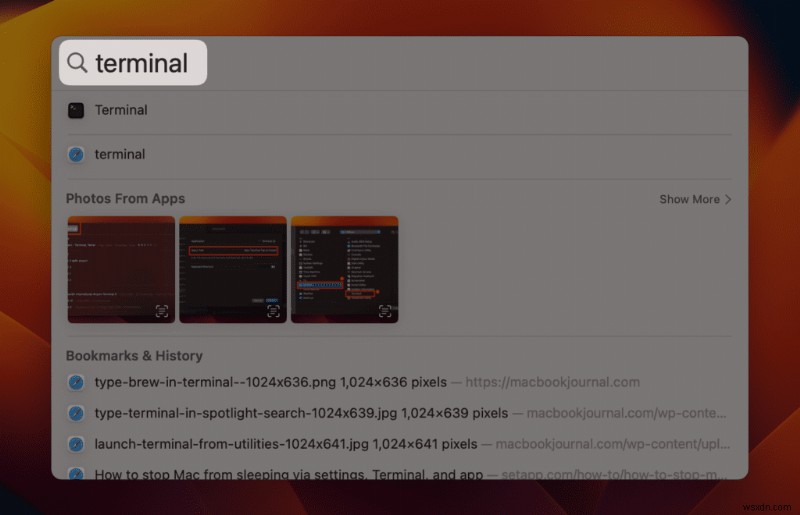 Fix ‘brew: command not found’ on macOS – Quick Homebrew Path Reset