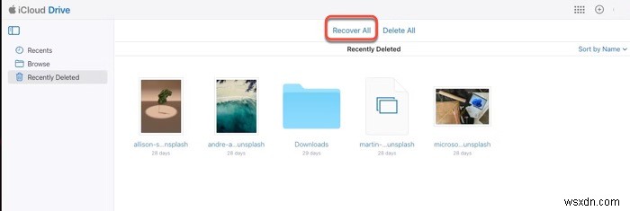 Restore Deleted iCloud Drive Files on Mac – 4 Reliable Methods