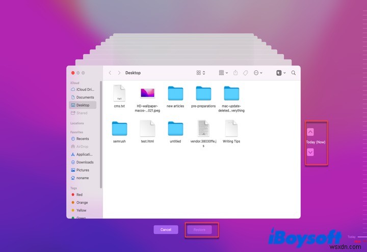 Mac Update Deleted Files? Quick Steps to Recover Your Data Safely
