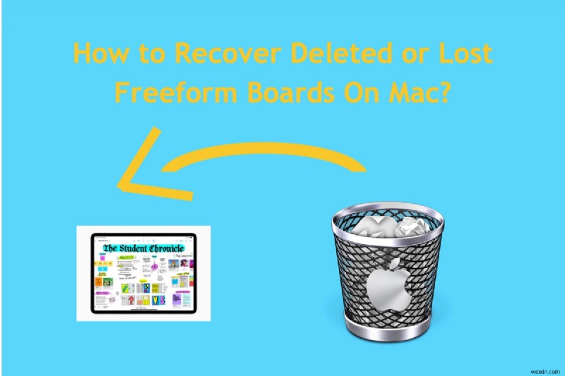 Recover Deleted Freeform Boards on Mac: Step‑by‑Step Guide