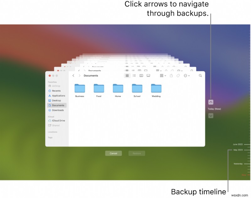 Recover Deleted Freeform Boards on Mac: Step‑by‑Step Guide