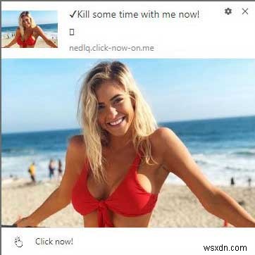 How to Disable the ‘Please Allow to Watch Video’ Popup Safely