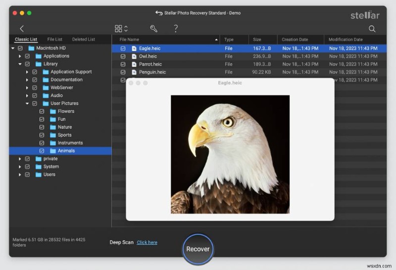 Restore Deleted Photos on Your Mac – Quick, Reliable Recovery Methods