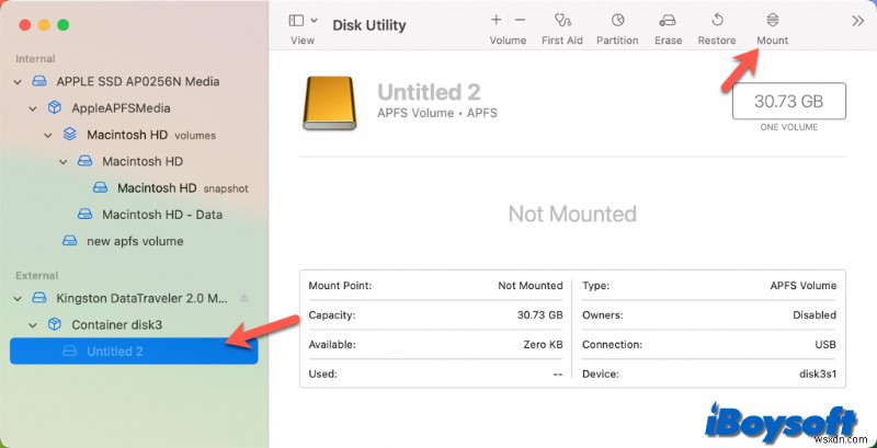 Easily Mount Any Disk on Your Mac: Step‑by‑Step Guide