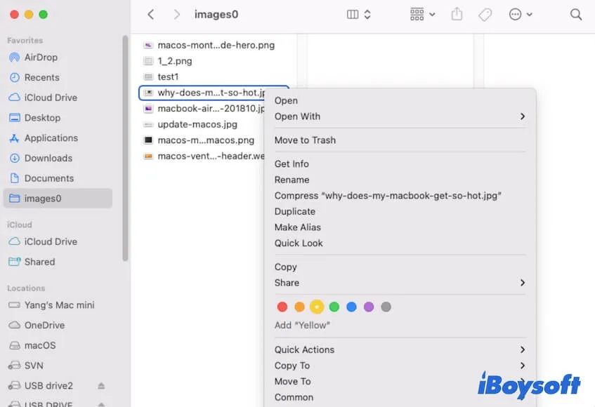 Master Mac File Organization: Easy Steps to Keep Your MacBook Neat and Fast