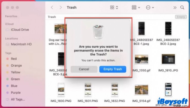 How to Empty Your Mac Trash: A Step‑by‑Step Guide