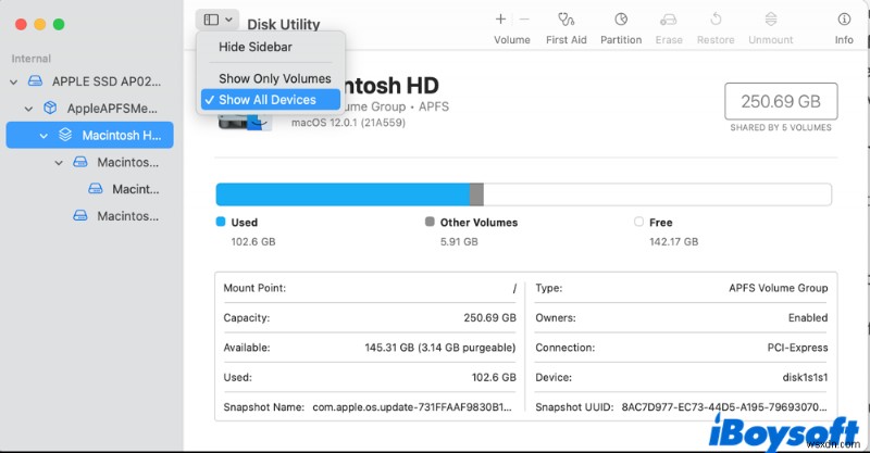 How to Remove ‘Other Volumes’ from Your Mac’s Storage Container (Solved)