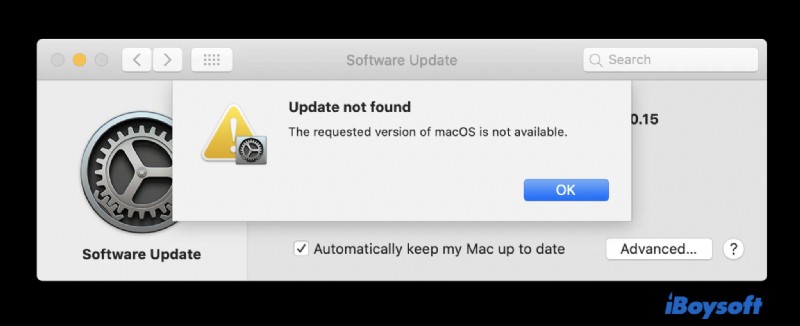 macOS Ventura: 10 Common Problems, Causes, and Quick Fixes