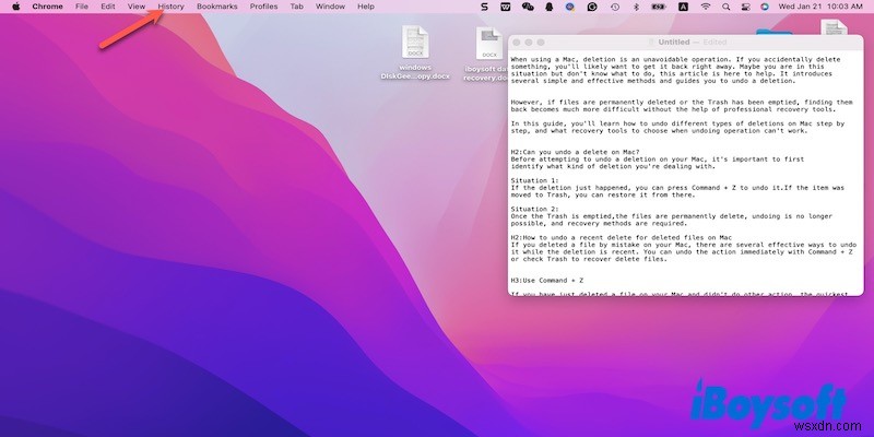 Undo a Deletion on Mac: Quick, Reliable Recovery Steps