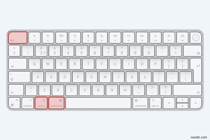 Reduce Freeform Storage on Mac: Proven Steps to Free Up Space