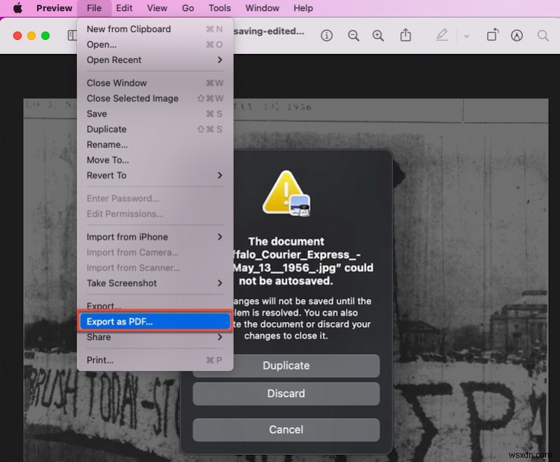 How to Resolve  Document Could Not Be Autosaved  Errors in Preview