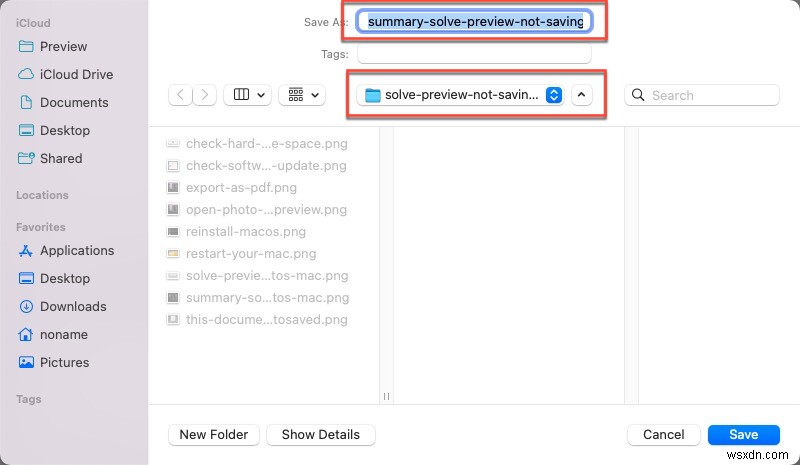 How to Resolve  Document Could Not Be Autosaved  Errors in Preview