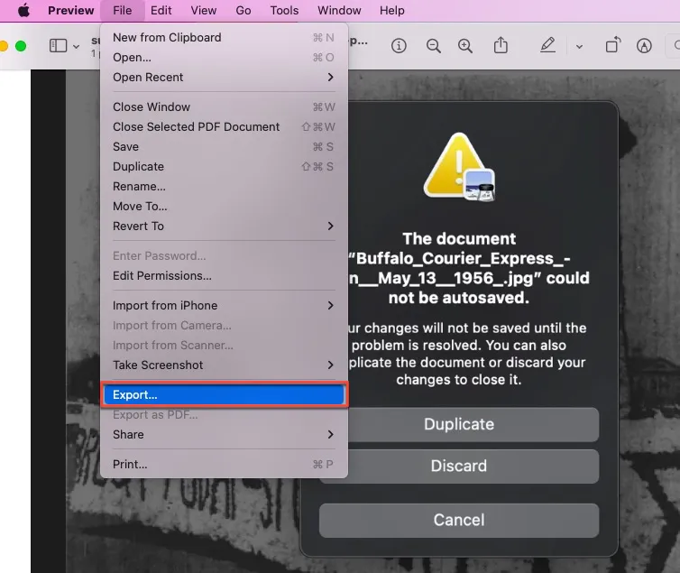 How to Resolve  Document Could Not Be Autosaved  Errors in Preview