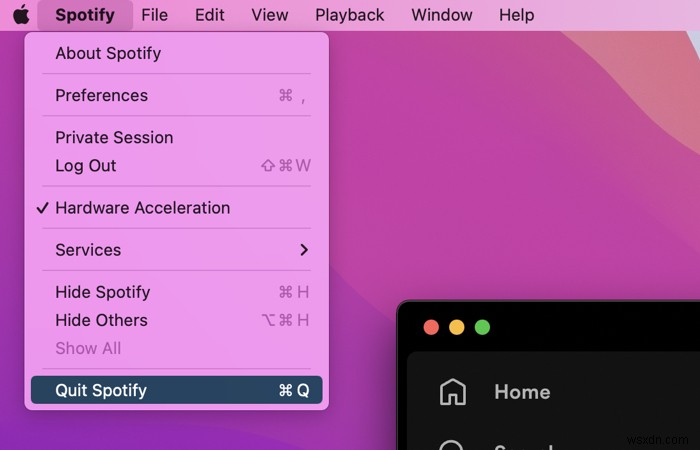 Fully Remove Spotify from Your Mac: Two Simple Methods