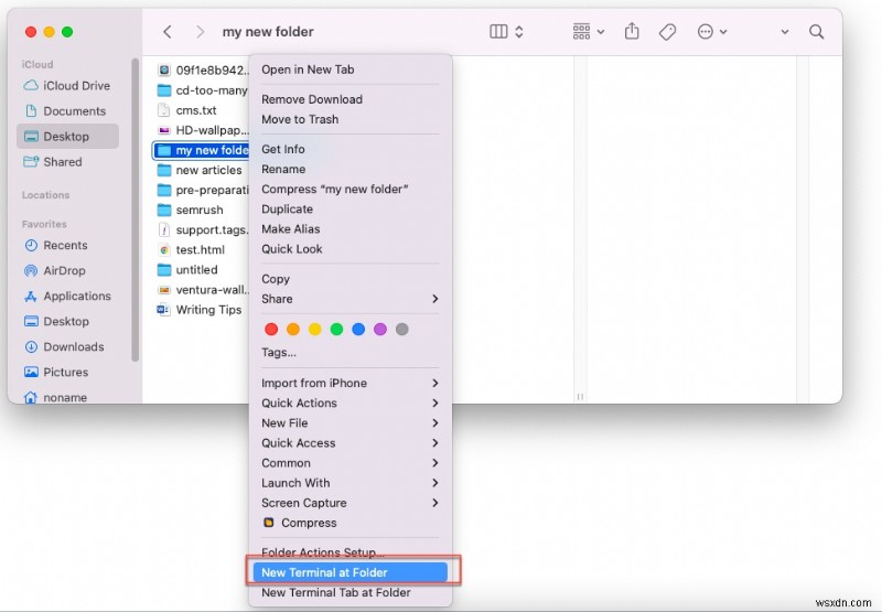 Resolve  cd: too many arguments  in Bash and Zsh – 5 Easy Fixes