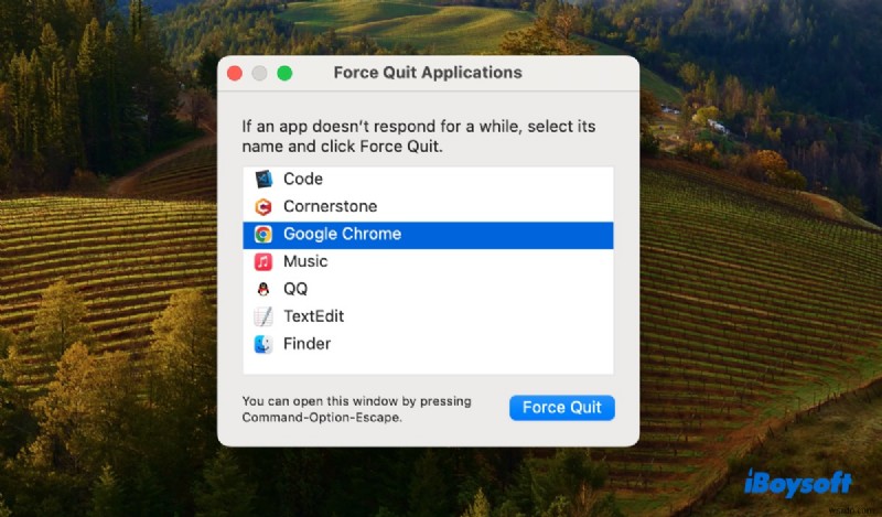 Resolve App Crashes, Freezes, and Compatibility Issues on macOS Sonoma