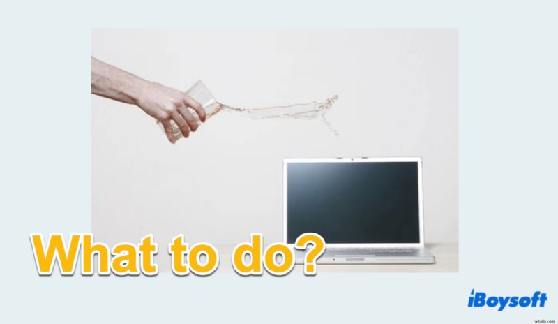 How to Safely Recover Your MacBook After Water Spillage