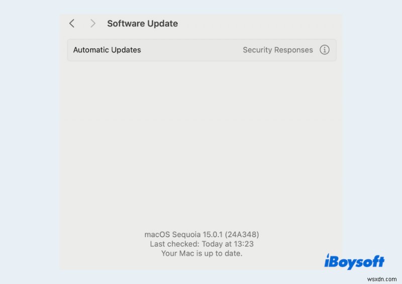 Office 365 Won’t Launch on macOS Sequoia: Quick Fixes & Troubleshooting Tips