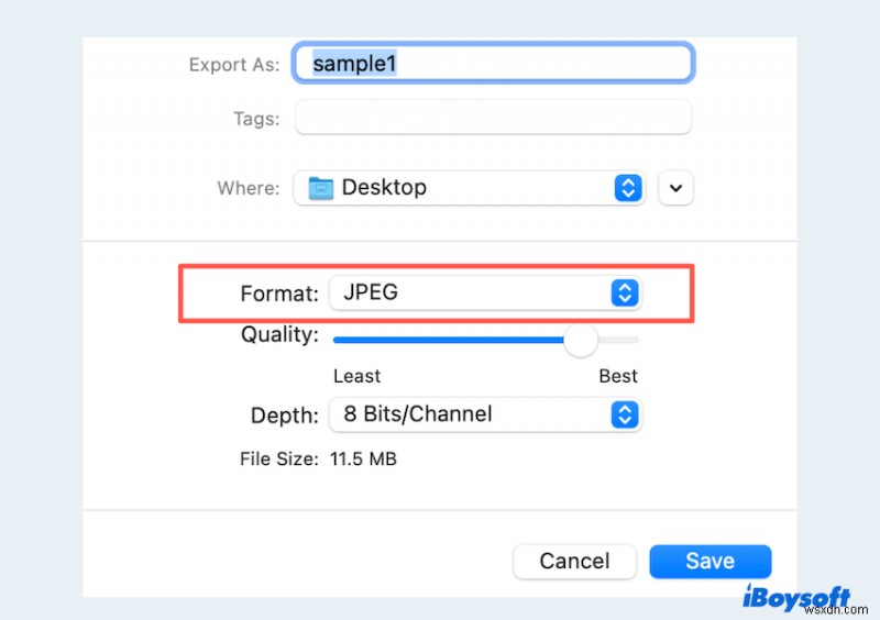 Easily Convert CR2 to JPG in Bulk on Mac: A Step-by-Step Tutorial