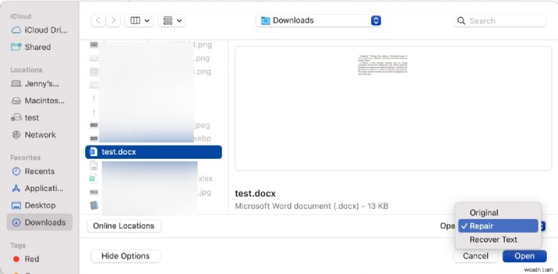How to Recover a Corrupted Word Document on Mac & Windows Using Text Recovery Converter
