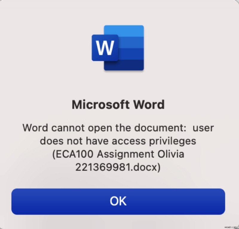 Fix  Word Cannot Open Document  Access Privileges Issue on Windows & Mac
