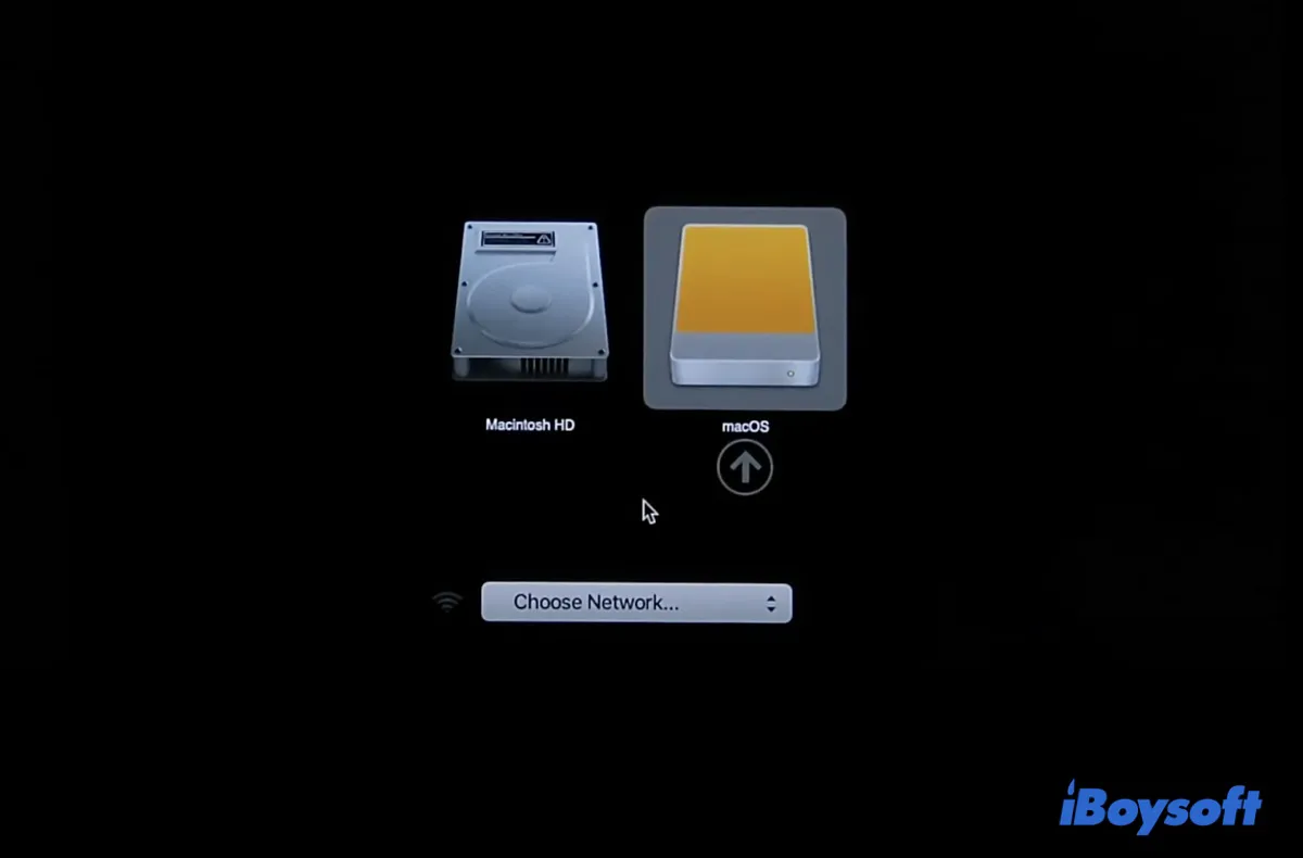 Step‑by‑Step: Create a macOS Bootable USB from Windows 10/11