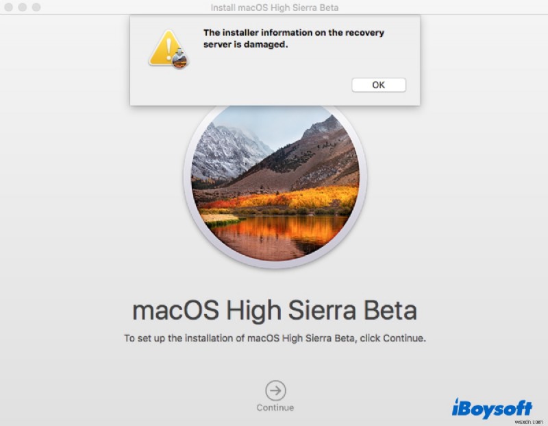 Resolve the Installer Information on Recovery Server Is Damaged macOS Reinstallation Error
