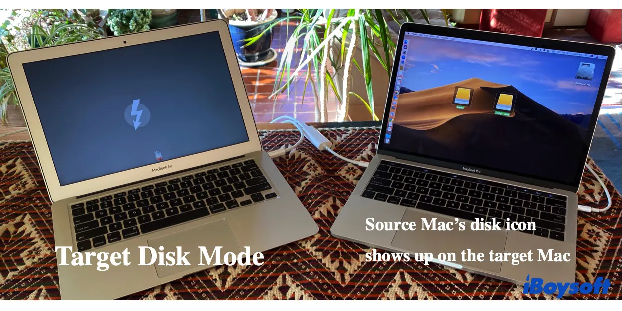 How to Resolve Migration Assistant Issues on Your Mac – Step-by-Step Fixes
